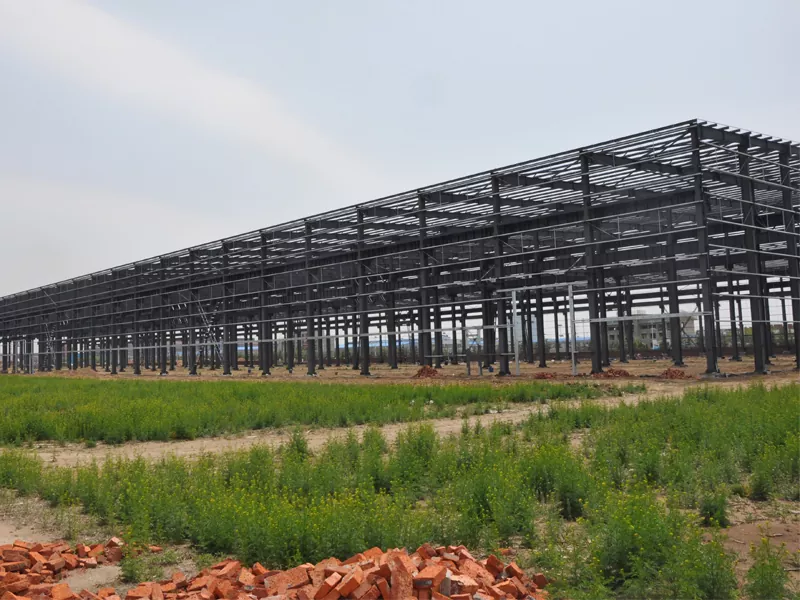 Prefab Stol Metal Warehouse Building