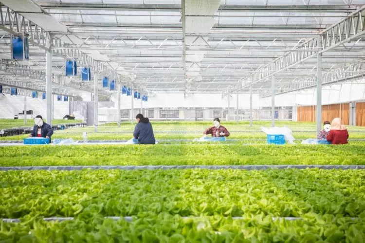 Geméis Base Warehouse Stolkonstruktioun